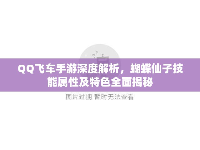 QQ飞车手游深度解析，蝴蝶仙子技能属性及特色全面揭秘