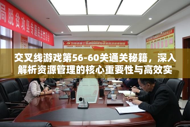 交叉线游戏第56-60关通关秘籍，深入解析资源管理的核心重要性与高效实战策略