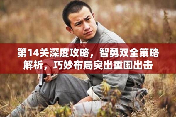 第14关深度攻略，智勇双全策略解析，巧妙布局突出重围出击