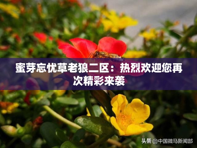 蜜芽忘忧草老狼二区：热烈欢迎您再次精彩来袭