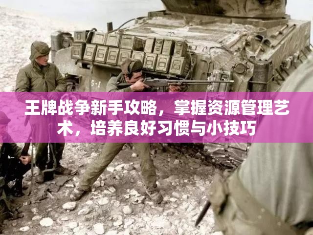 王牌战争新手攻略，掌握资源管理艺术，培养良好习惯与小技巧