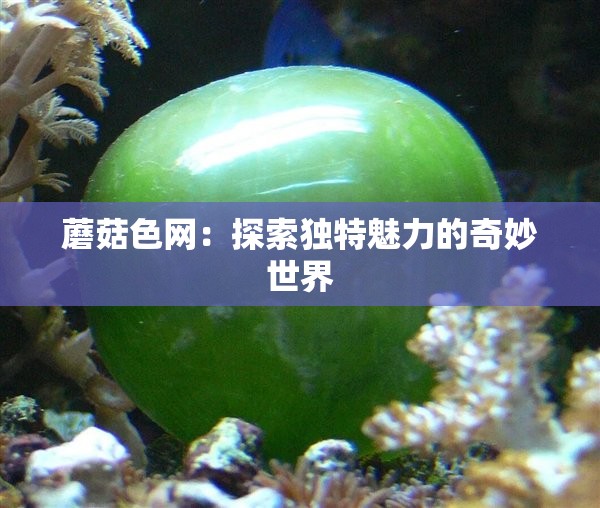 蘑菇色网：探索独特魅力的奇妙世界