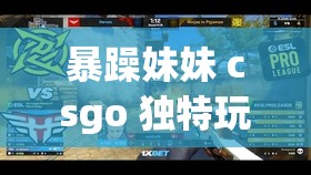 暴躁妹妹 csgo 独特玩法揭秘：教你称霸游戏战场