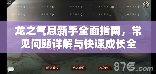 龙之气息新手全面指南，常见问题详解与快速成长全攻略