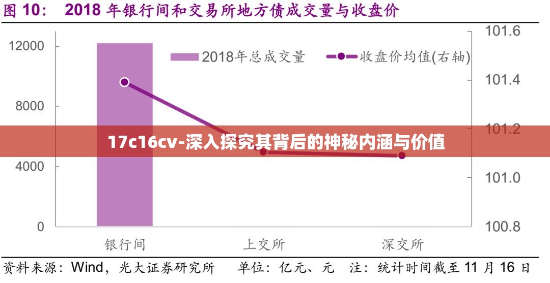 17c16cv-深入探究其背后的神秘内涵与价值