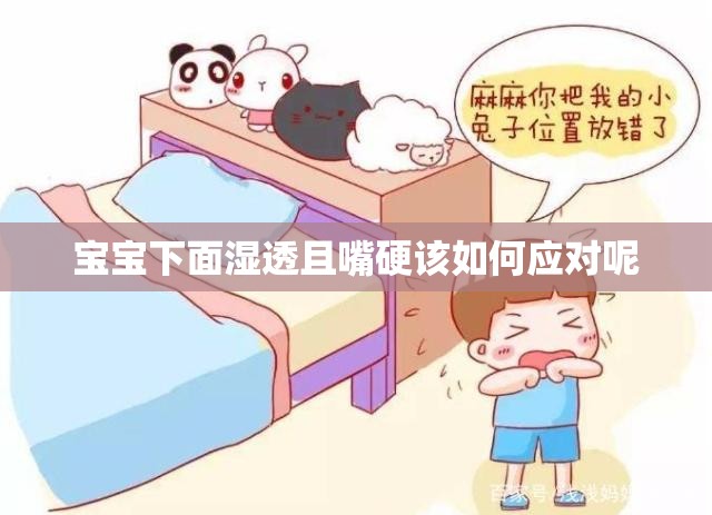 宝宝下面湿透且嘴硬该如何应对呢