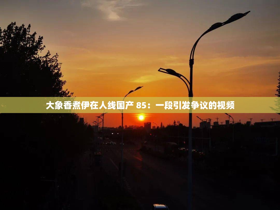 大象香煮伊在人线国产 85：一段引发争议的视频