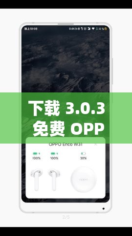 下载 3.0.3 免费 OPPO 版大全：畅享海量优质应用资源