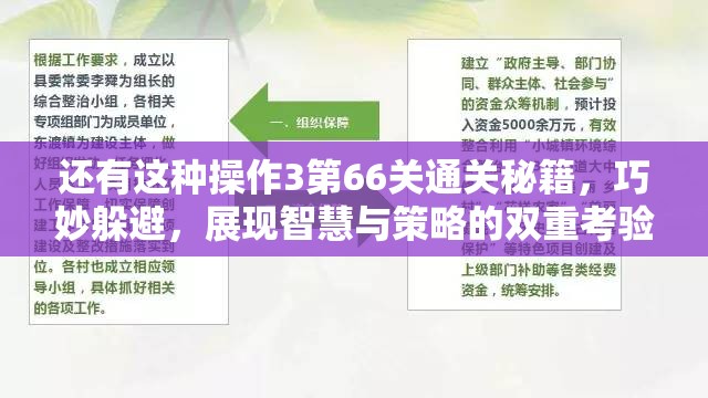 还有这种操作3第66关通关秘籍，巧妙躲避，展现智慧与策略的双重考验