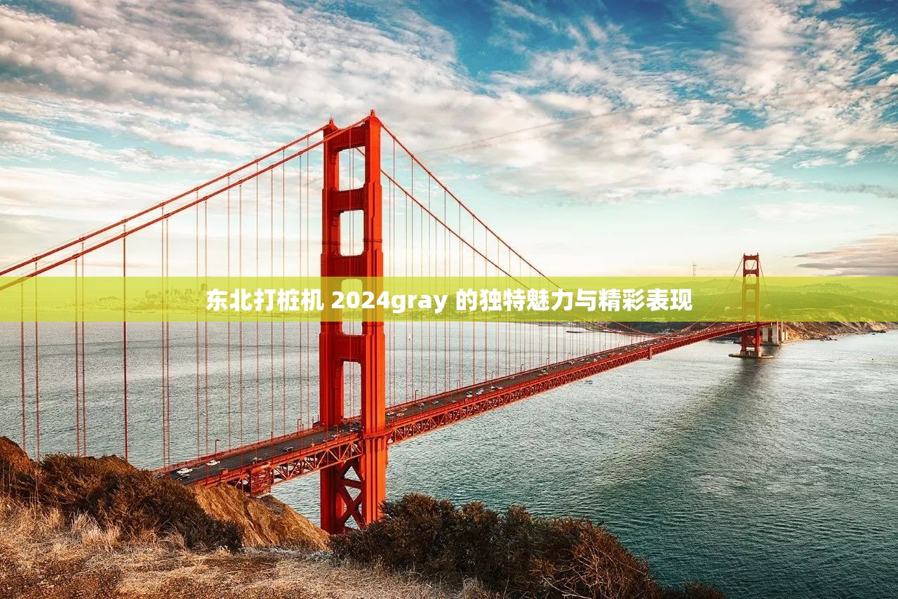 东北打桩机 2024gray 的独特魅力与精彩表现