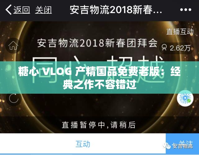 糖心 VLOG 产精国品免费老版：经典之作不容错过