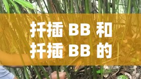 扦插 BB 和扦插 BB 的区别：深入探究两种扦插方式的不同之处