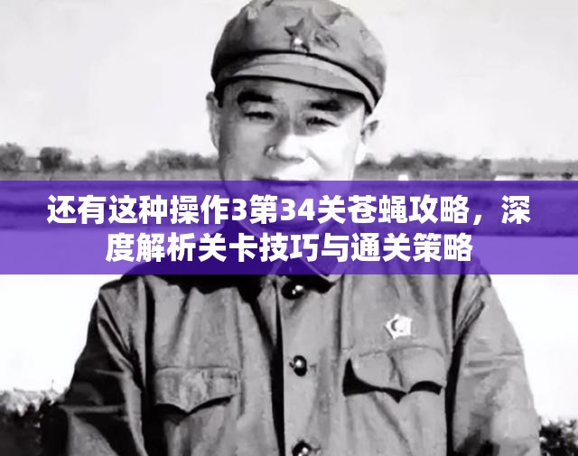 还有这种操作3第34关苍蝇攻略，深度解析关卡技巧与通关策略