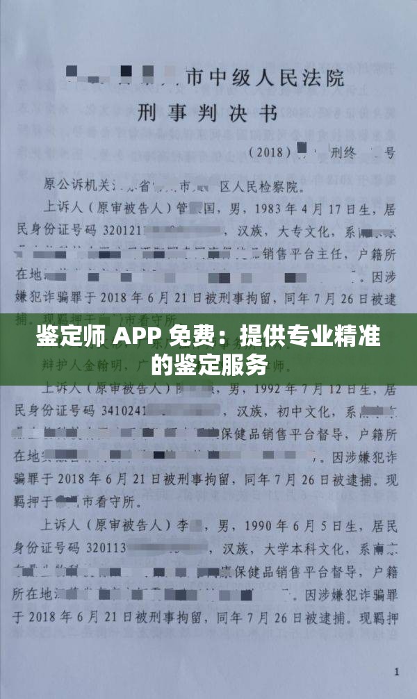 鉴定师 APP 免费：提供专业精准的鉴定服务