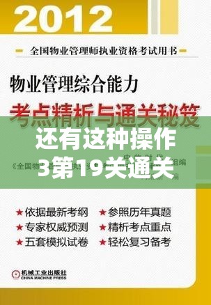 还有这种操作3第19关通关秘籍，探索攻略在资源管理中的核心价值与实践策略