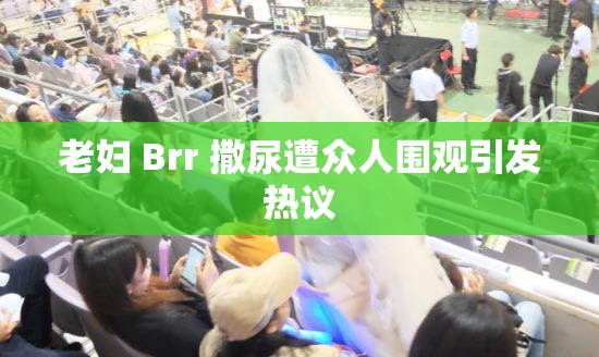 老妇 Brr 撒尿遭众人围观引发热议