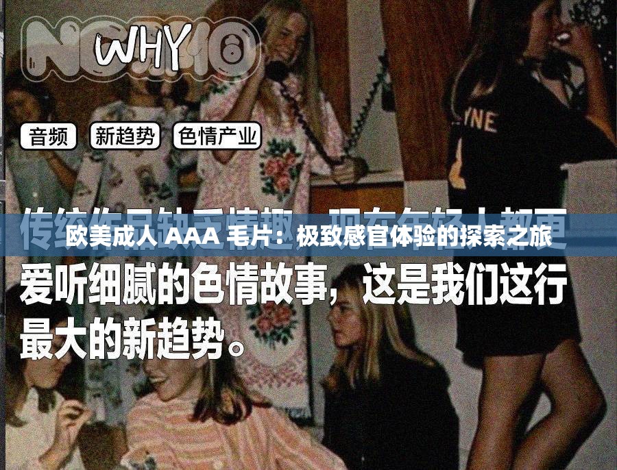 欧美成人 AAA 毛片：极致感官体验的探索之旅