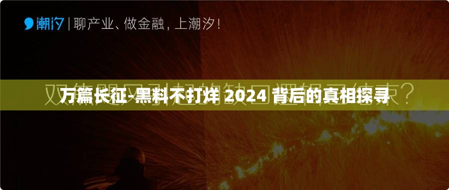 万篇长征-黑料不打烊 2024 背后的真相探寻