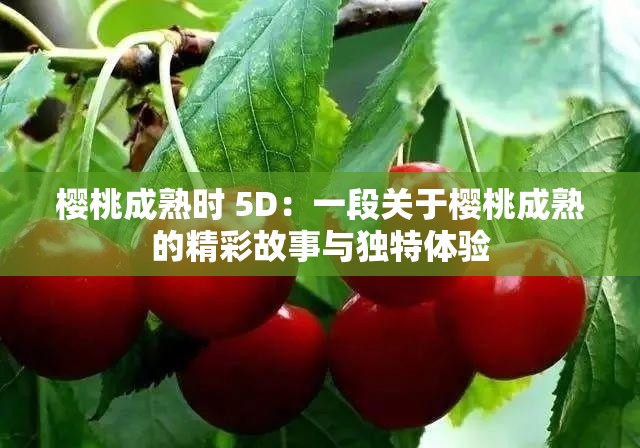 樱桃成熟时 5D：一段关于樱桃成熟的精彩故事与独特体验