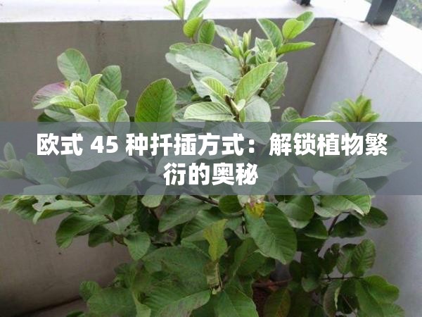 欧式 45 种扦插方式：解锁植物繁衍的奥秘