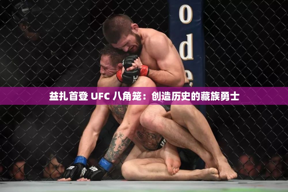 益扎首登 UFC 八角笼：创造历史的藏族勇士