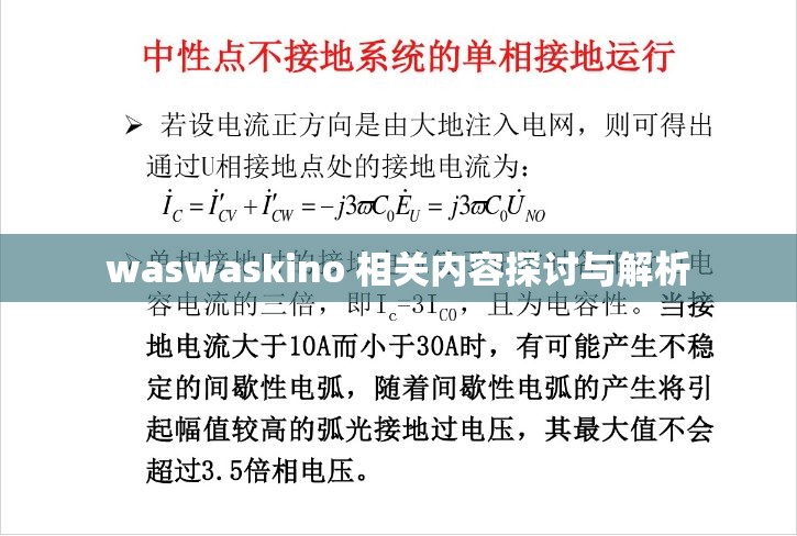 waswaskino 相关内容探讨与解析