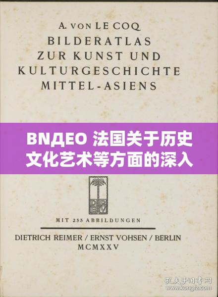 BNДEO 法国关于历史文化艺术等方面的深入探讨与研究