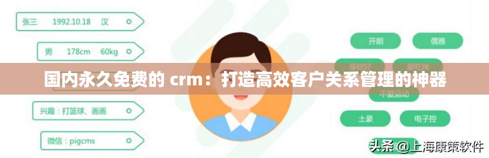 国内永久免费的 crm：打造高效客户关系管理的神器