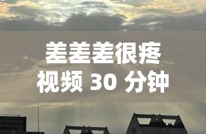 差差差很疼视频 30 分钟应用：极致刺激体验不容错过