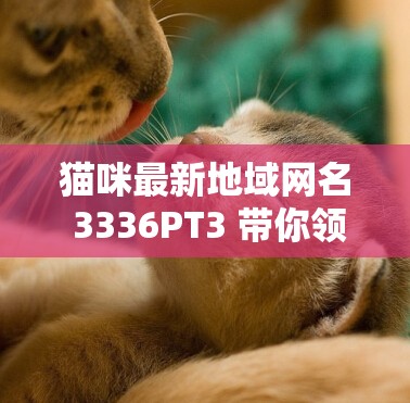 猫咪最新地域网名 3336PT3 带你领略别样趣味之旅