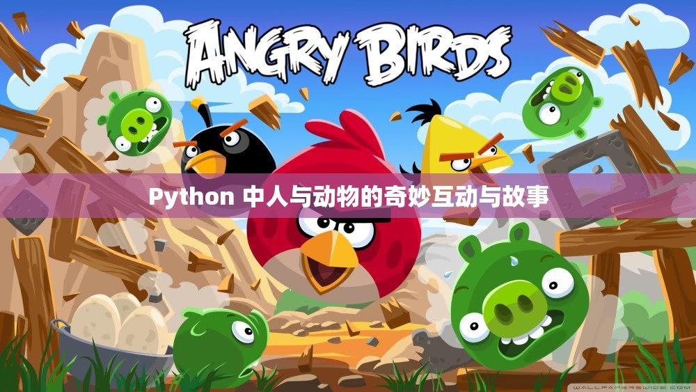 Python 中人与动物的奇妙互动与故事