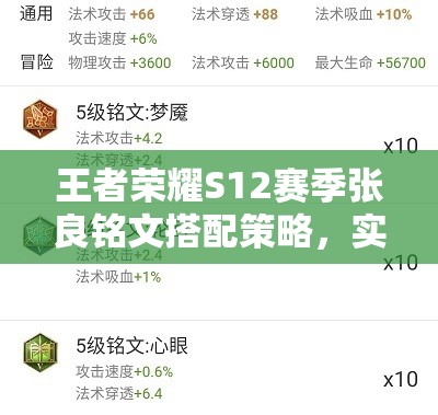 王者荣耀S12赛季张良铭文搭配策略，实现资源高效管理与避免浪费