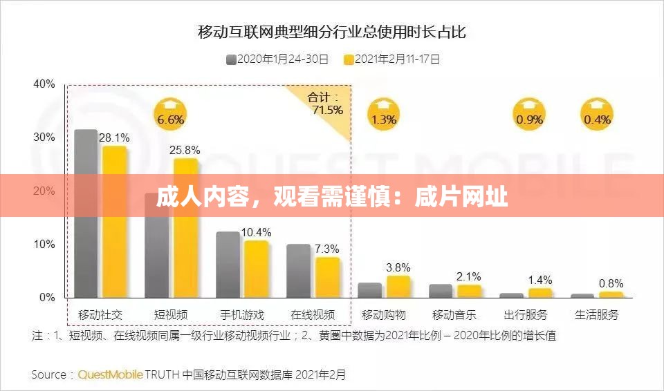 成人内容，观看需谨慎：咸片网址