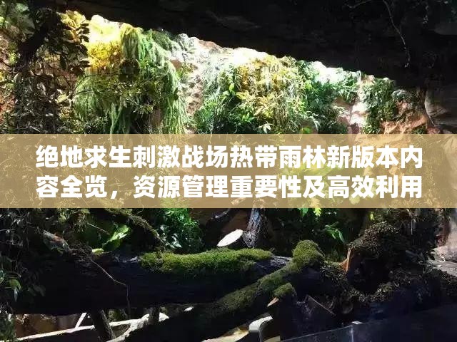 绝地求生刺激战场热带雨林新版本内容全览，资源管理重要性及高效利用实战策略