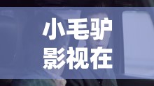 小毛驴影视在线观看：畅享高清电影、热播剧集