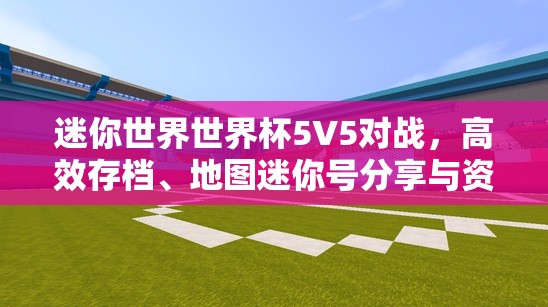 迷你世界世界杯5V5对战，高效存档、地图迷你号分享与资源管理策略艺术