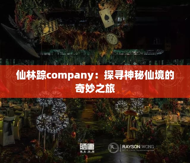 仙林踪company：探寻神秘仙境的奇妙之旅