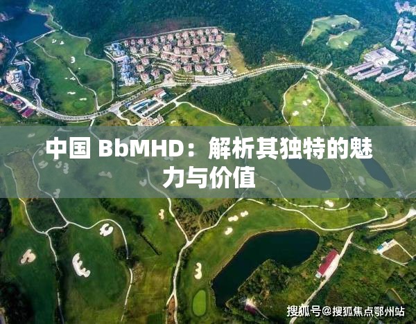 中国 BbMHD：解析其独特的魅力与价值