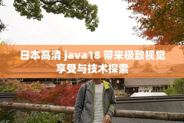 日本高清 java18 带来极致视觉享受与技术探索