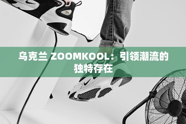 乌克兰 ZOOMKOOL：引领潮流的独特存在