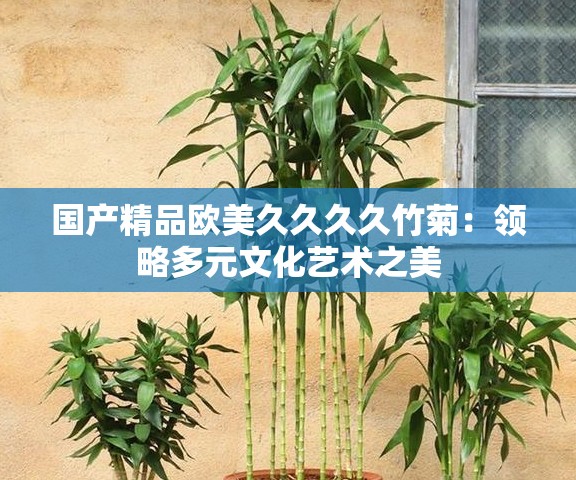 国产精品欧美久久久久竹菊：领略多元文化艺术之美