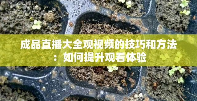 成品直播大全观视频的技巧和方法：如何提升观看体验