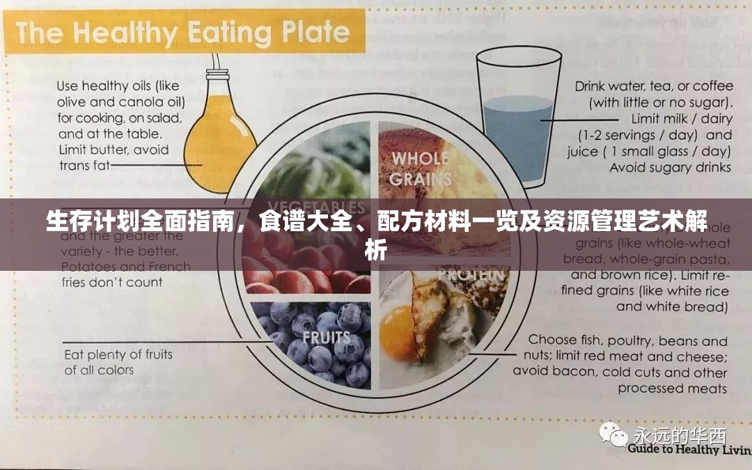 生存计划全面指南，食谱大全、配方材料一览及资源管理艺术解析