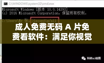 成人免费无码 A 片免费看软件：满足你视觉需求的最佳选择