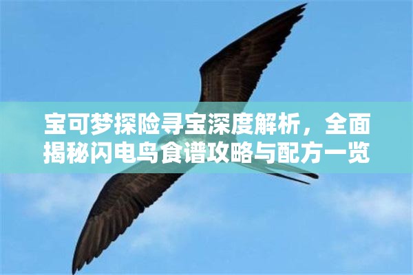 宝可梦探险寻宝深度解析，全面揭秘闪电鸟食谱攻略与配方一览