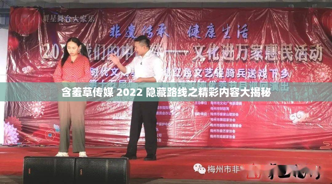 含羞草传媒 2022 隐藏路线之精彩内容大揭秘