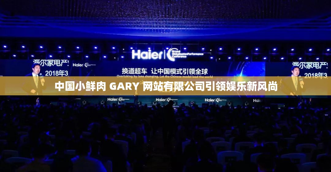 中国小鲜肉 GARY 网站有限公司引领娱乐新风尚