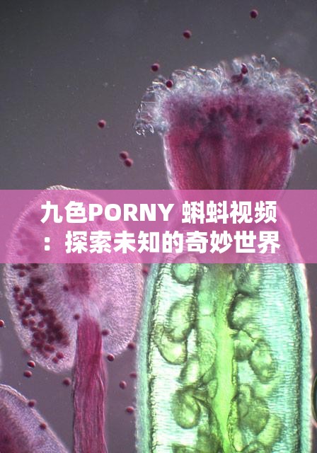 九色PORNY 蝌蚪视频：探索未知的奇妙世界