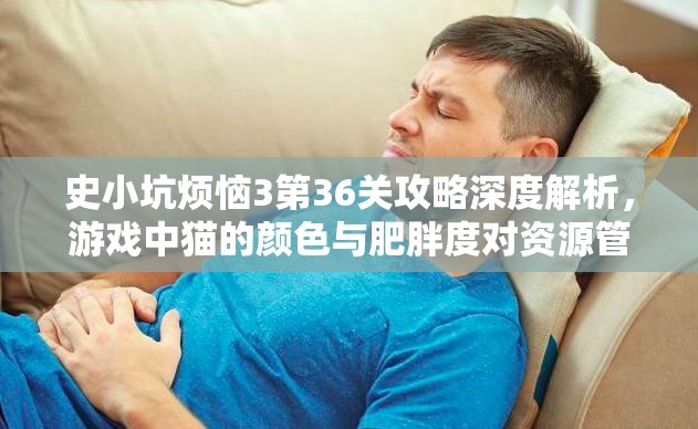 史小坑烦恼3第36关攻略深度解析，游戏中猫的颜色与肥胖度对资源管理策略的关键影响