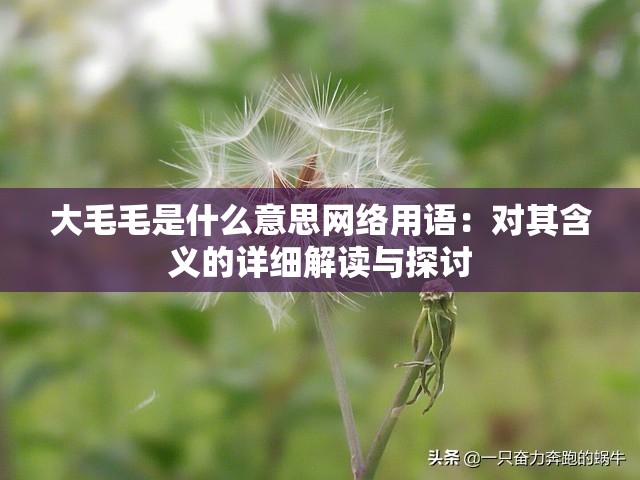 大毛毛是什么意思网络用语：对其含义的详细解读与探讨